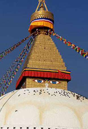 Tours In Nepal