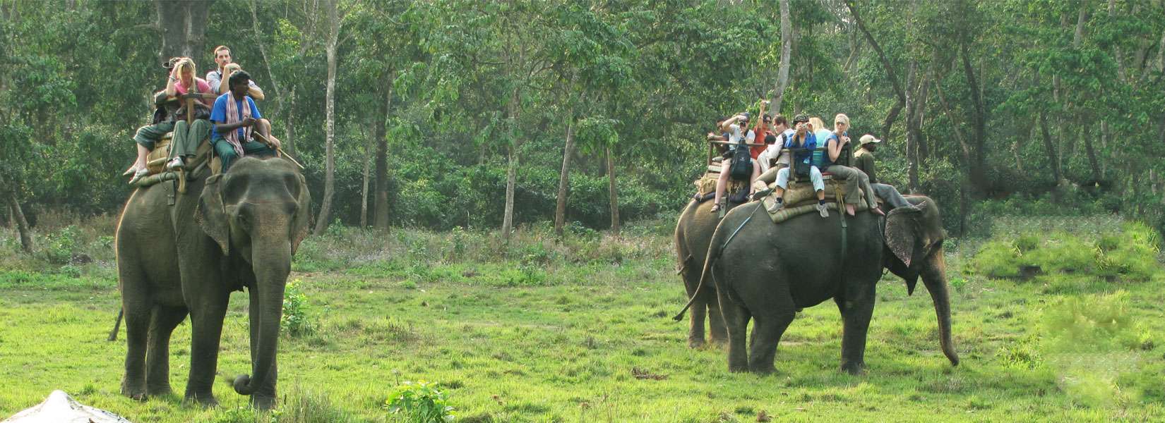 Tours In Nepal