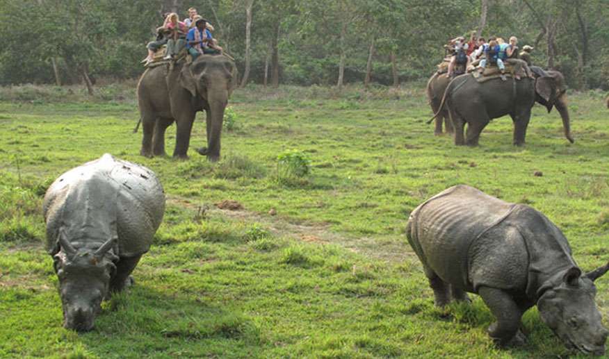 2 Nights 3 Days Chitwan Tour