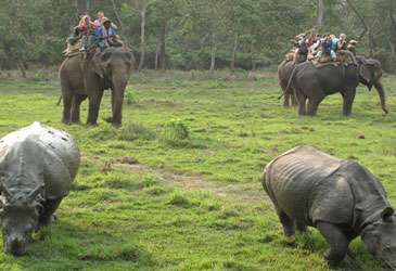 2 Nights 3 Days Chitwan Tour