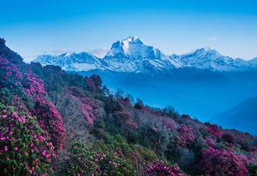 Poon Hill Trek